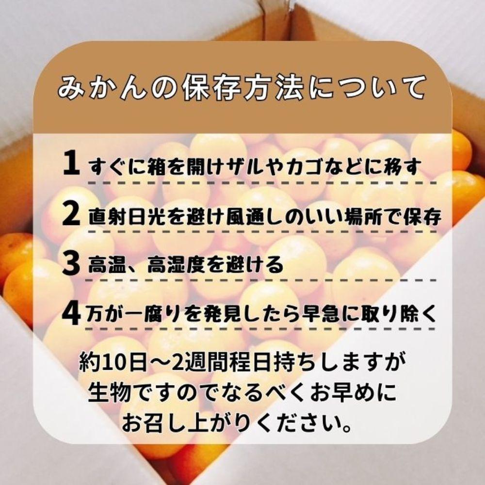 有田みかん 早生S～Lサイズ混合 約5kg【2026年発送 先行予約】