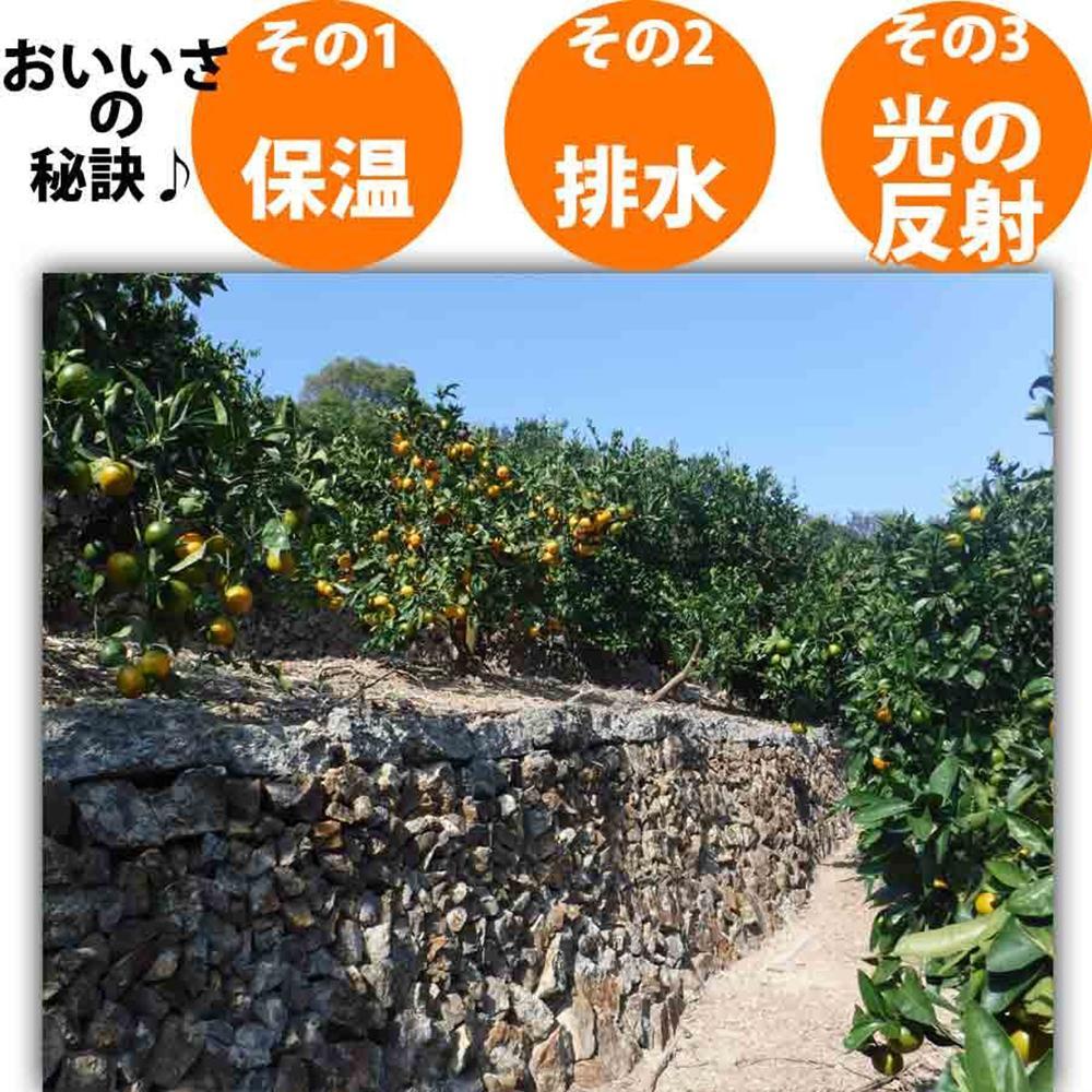 みかん 8kg ご家庭用　和歌山県有田川町産　有田みかん ありだみかん