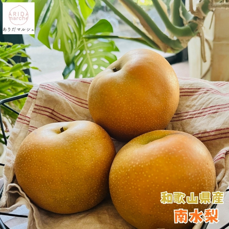 有田の 樹上 成熟 梨 農家直送  南水 梨 約4.5kg［2026年・先行予約］