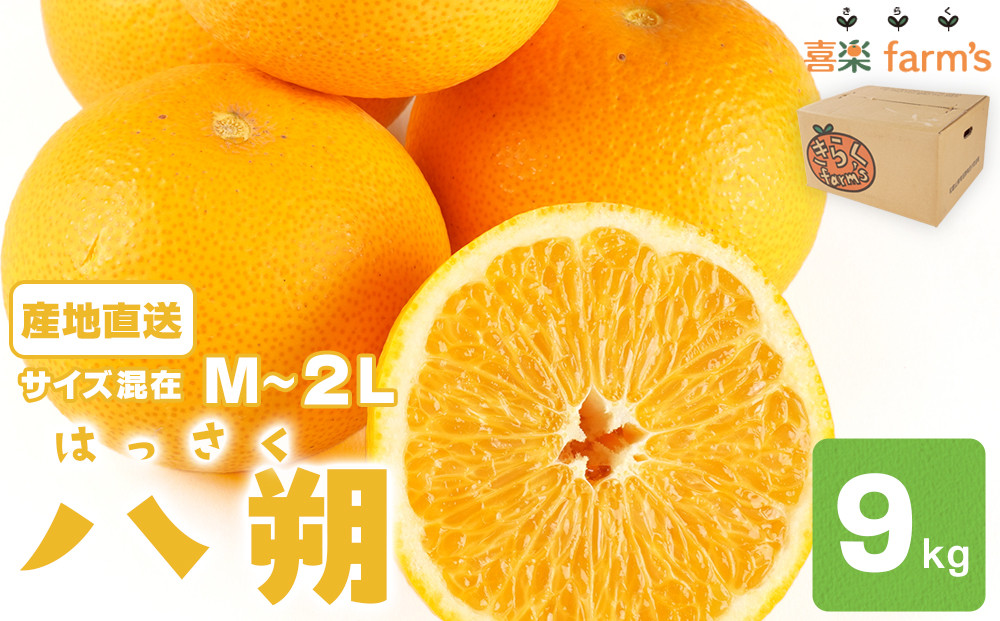 【産地直送】☆八朔☆サイズ混載（M～2L）☆9kg