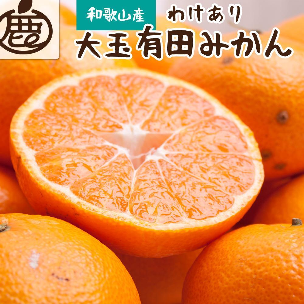 ［先行予約］家庭用 有田みかん（大玉）5kg+250g（傷み補償分）