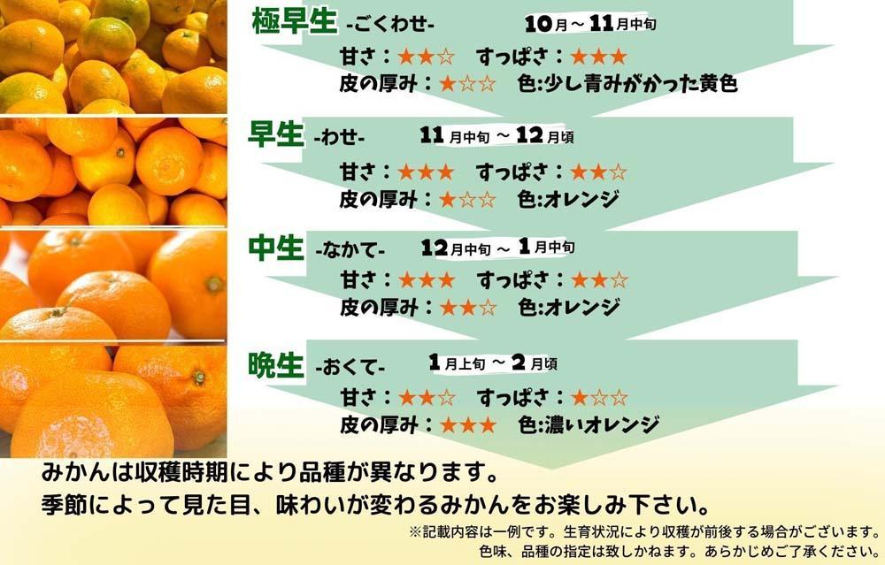 ゆら早生 みかん 小玉ちゃん 箱込10kg (内容量 9.2kg) 3S～Sサイズ混合 秀優混合 有田みかん 和歌山県産 【みかんの会】［2026年10月下旬頃より順次発送予定］