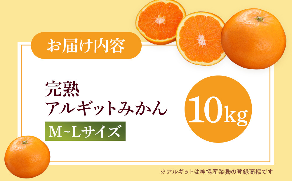 å®ç ã¢ã«ã®ãã ã¿ãã 10kg M ïœ Lãµã€ãº | å
è¡äºçŽ ã¿ãã æç°ã¿ãã çã ãããã ãžã¥ãŒã·ãŒ ç® èã å®ç æééå® ãã«ãŒã æç© äººæ° ãããã é«çŽ ãã ãã ã®ãã æ¬ ãåãå¯ã éæç¡æ åæå±±