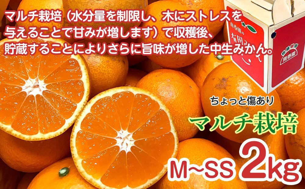 【 5年間 有田みかん 3種 食べくらべ ／ 全15回 】 ちょっと 傷あり 2kg × 3回 × 5年 コース 南泰園 みかん