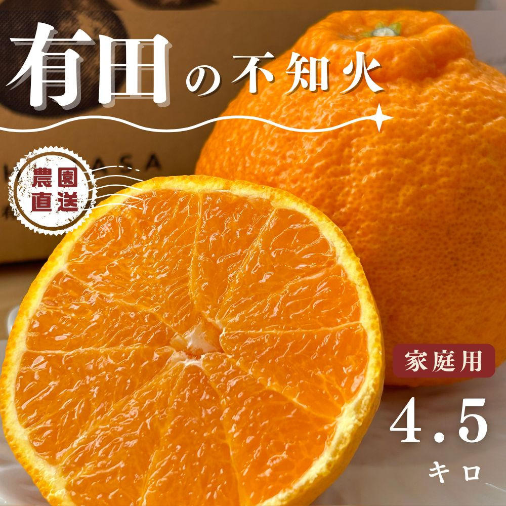 【ふるさと納税】【先行予約】 不知火 4.5kg（箱込み5kg） 家庭用 サイズ混合 柑橘 フルーツ  産地直送 お取り寄せ 送料無料