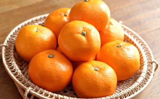 [秀品]有田のブランド「賢みかん」5kg(Sサイズ) ［2026年11月中旬頃より順次発送］