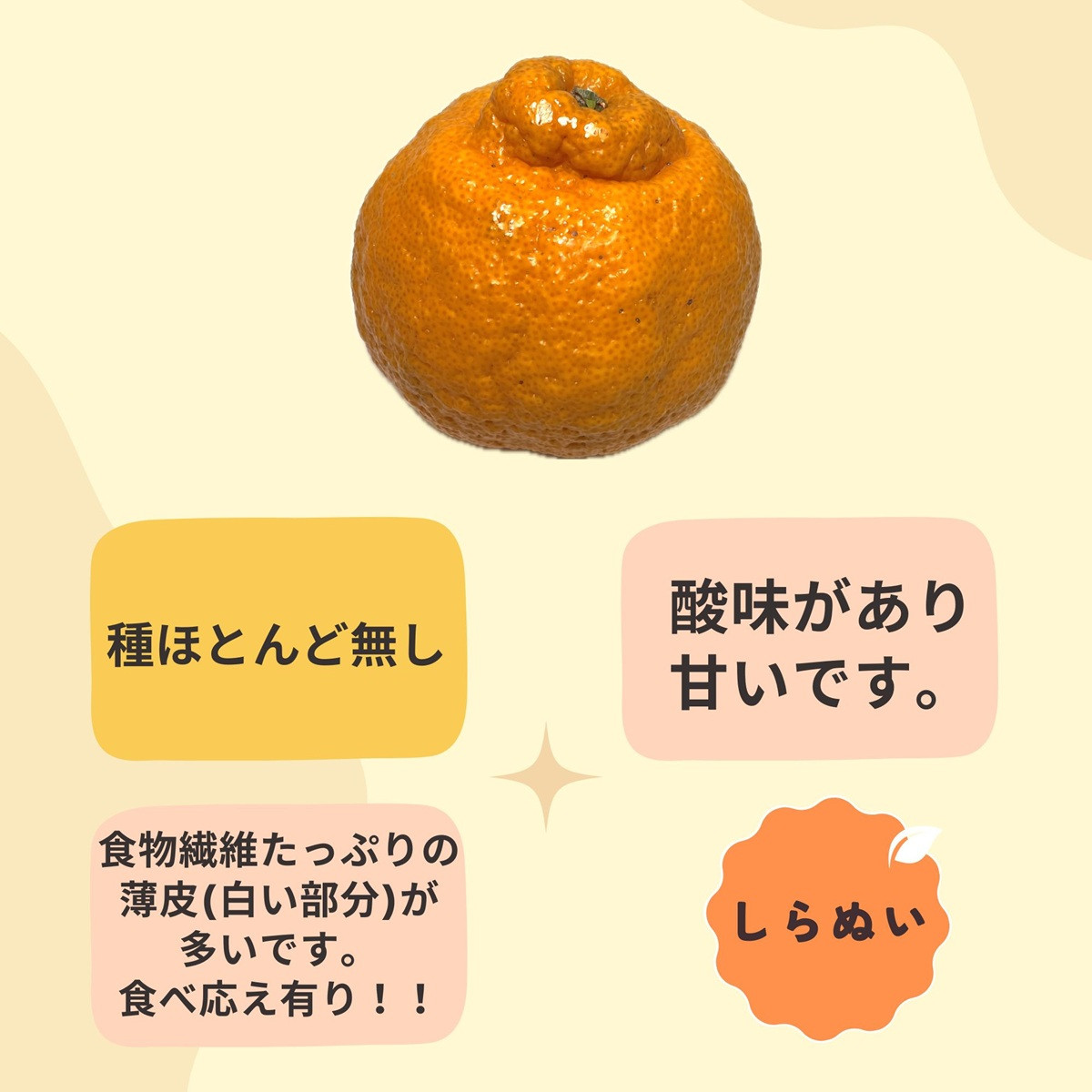 和歌山 有田 不知火 しらぬい 5kg