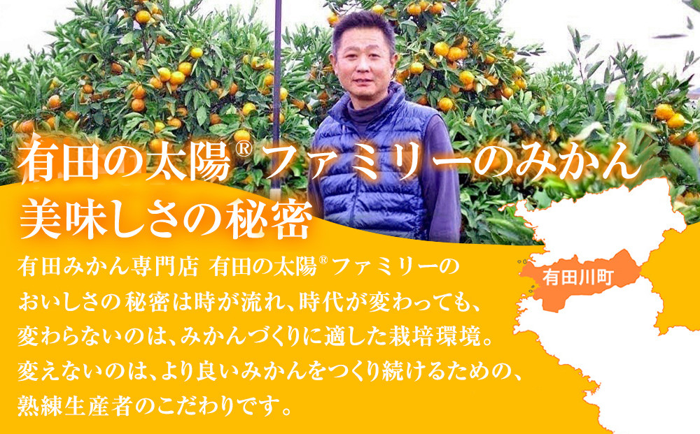 譛臥伐縺ソ縺九s蟆る摩蠎 譛臥伐縺ョ螟ェ髯スツョ繝輔ぃ繝溘Μ繝シ 譌ゥ逕溘∪縺溘ッ譎ゥ逕 譛臥伐縺ソ縺九s 2.5kgシ玖」懷─蛻100g 螻ア謗。繧後サ繧オ繧、繧コ繝サ遲臥エ 豺キ蜷