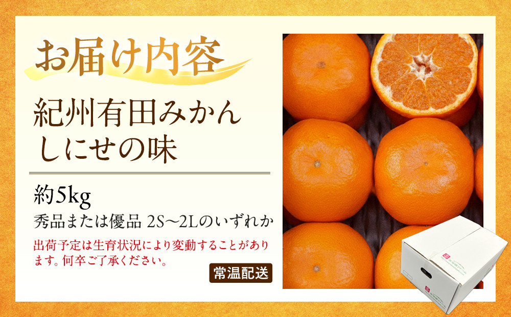 有田みかん しにせの味 約5kg 2S～2Lのいずれか 秀品または優品