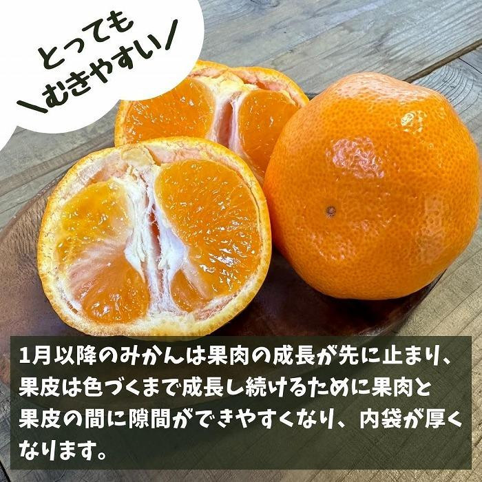 みかん Ｍサイズ 秀品 箱込 10kg (内容量約 9.2kg) 有田みかん 和歌山県産 産地直送 贈答用 ［2026年11月中旬より順次出荷予定］［みかんの会］