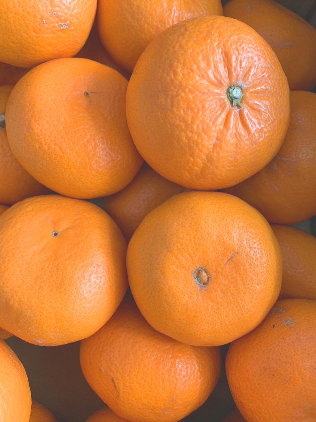 麗紅柑（れいこう）青秀品（家庭用）2S～3Lサイズ 3kg