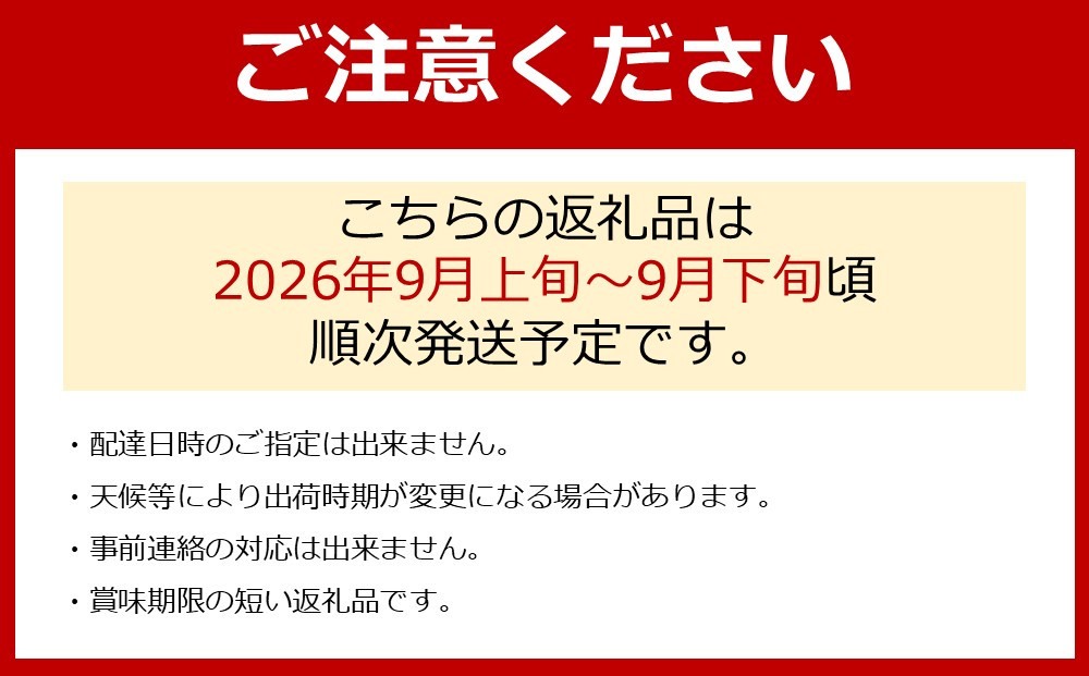 【先行予約】有田産 シャインマスカット 約 2kg 有田巨峰村 森下農園 ぶどう 送料無料 フルーツ マスカット シャインマスカット★2026年9月上旬から順次発送