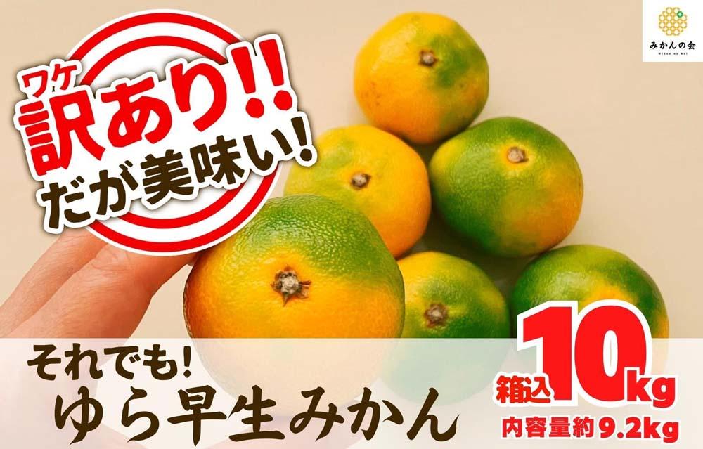訳あり ゆら早生 みかん 箱込10kg(内容量 9.2kg)サイズミックス 有田みかん 和歌山県産 【みかんの会】［2026年10月下旬頃より順次発送予定］