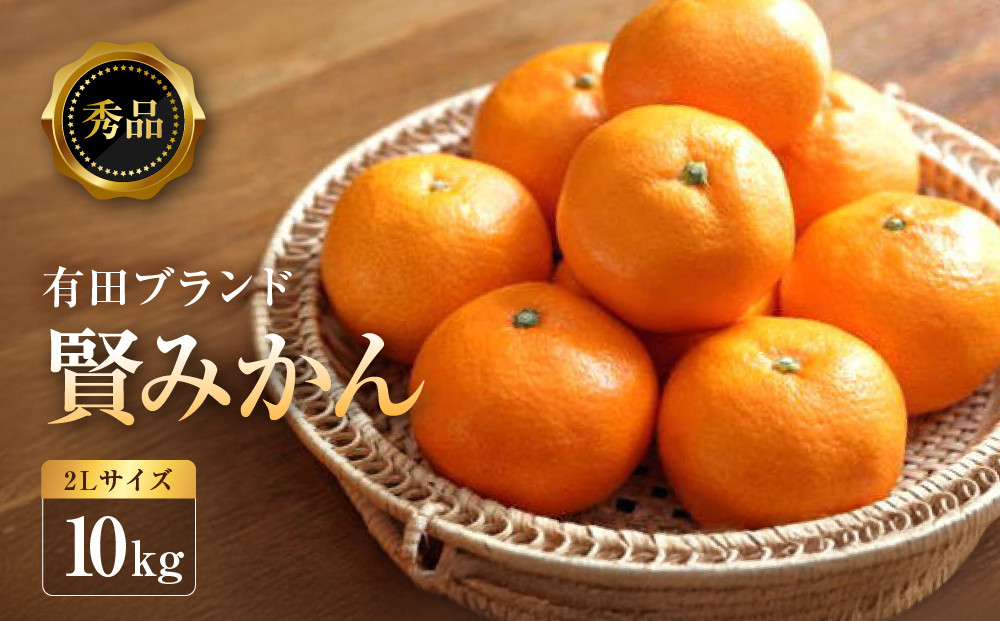 [秀品]有田のブランド「賢みかん」10kg(2Lサイズ)［2026年11月中旬頃より順次発送］