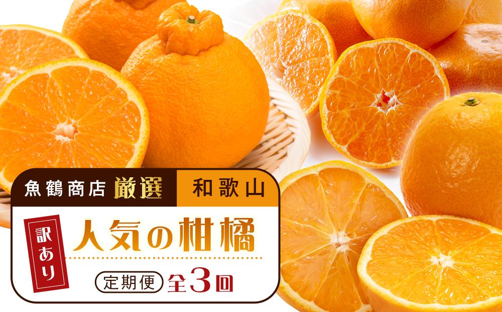 ［魚鶴商店厳選］和歌山人気の柑橘ご家庭用・訳あり定期便（みかん・不知火・清見オレンジ）［定期便全3回］［UT117w］