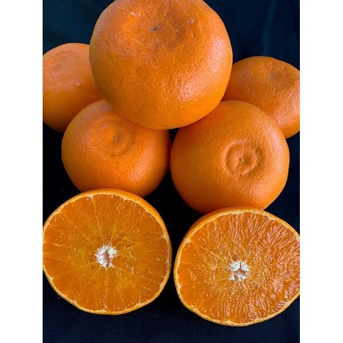 せとか家庭用 3kg М～2Lサイズ 混合 　【マルシ農園】