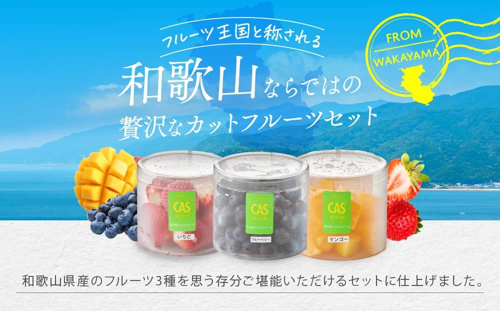 CAS蜃咲オ 蜥梧ュ悟アア逵檎肇 繧ォ繝繝医ヵ繝ォ繝シ繝 縺縺。縺 繝槭Φ繧エ繝シ 繝悶Ν繝シ繝吶Μ繝シ 隧ー繧∝粋繧上○ 邏100g テ 6繝代ャ繧ッ 蜷郁ィ育エ600g