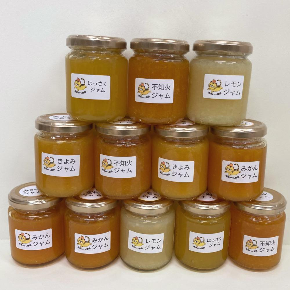 ［2026年3月以降順次発送］数量限定！店主にお任せ 無添加 柑橘ジャム140g×3個
