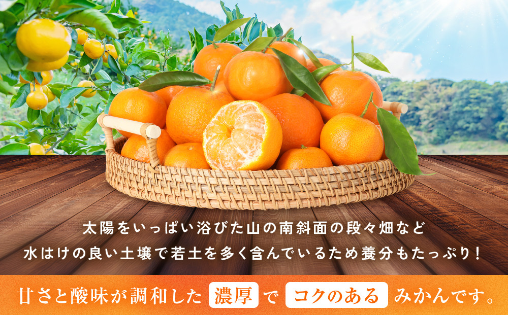譛臥伐縺ョ繝悶Λ繝ウ繝峨瑚ウ「縺ソ縺九s縲5kg(Sス朖繧オ繧、繧コ縺翫∪縺九○シ峨#螳カ蠎ュ逕ィシサ2026蟷エ11譛井クュ譌ャ鬆繧医j鬆谺。逋コ騾シス