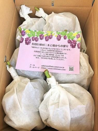 ãå
è¡äºçŽãæç°å·šå³°æäžæšãšåã®é²å°æ œå¹ããŸïœãçš®ããå·šå³°2kg