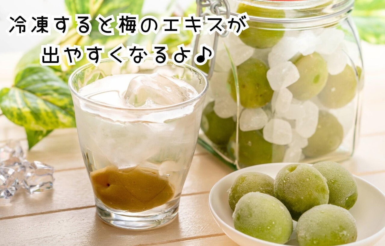 【2026年7月上旬～出荷予定】梅 冷凍 青梅 南高梅 10kg ( 1kg × 10袋) 秀品 2L or Lサイズ 和歌山県産 紀州有田 【みかんの会】
