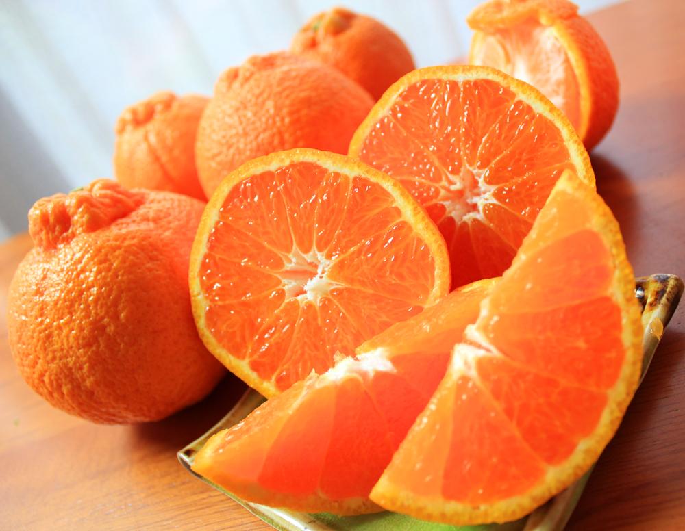 邏蟾樊怏逕ー逕」荳咲衍轣ォ(縺励i縺ャ縺イ) 邏シ斌gシサ2027蟷エ2譛井クュ譌ャ莉・髯咲匱騾シスシサ蜈郁。御コ育エシスシサUT40wシス