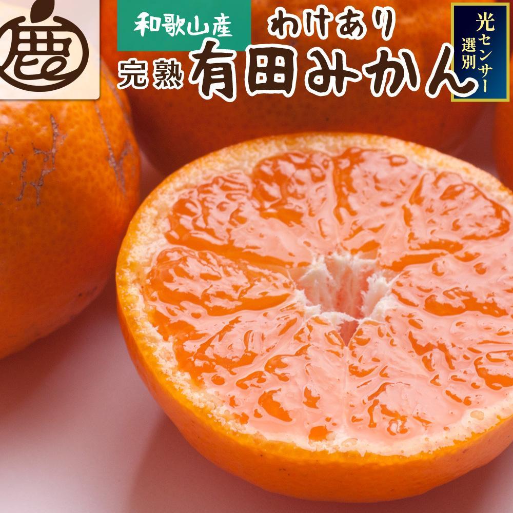 ［先行予約］家庭用 有田みかん（完熟）10kg+250g（傷み補償分）