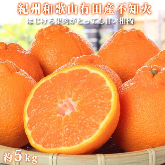 季節の柑橘定期便（みかん・不知火・せとか） 全3回 【1・2・3月発送】