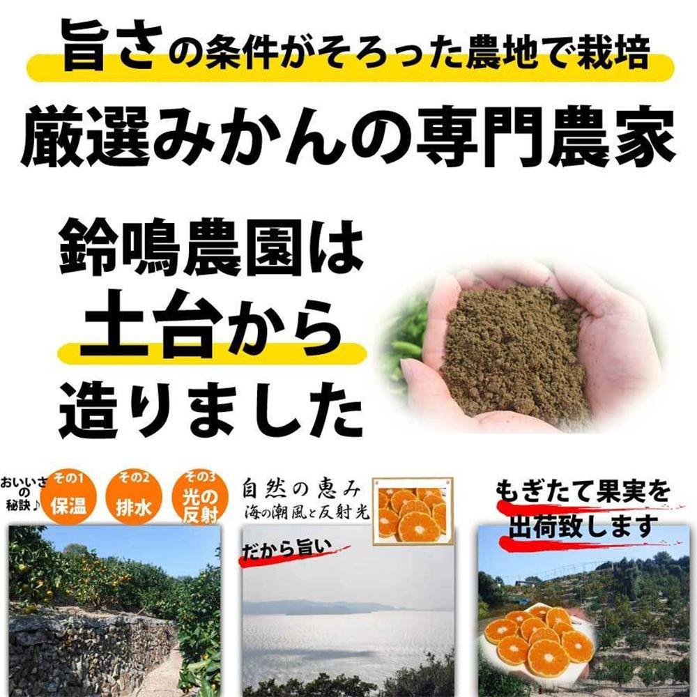 みかん 8kg ご家庭用　和歌山県有田川町産　有田みかん ありだみかん