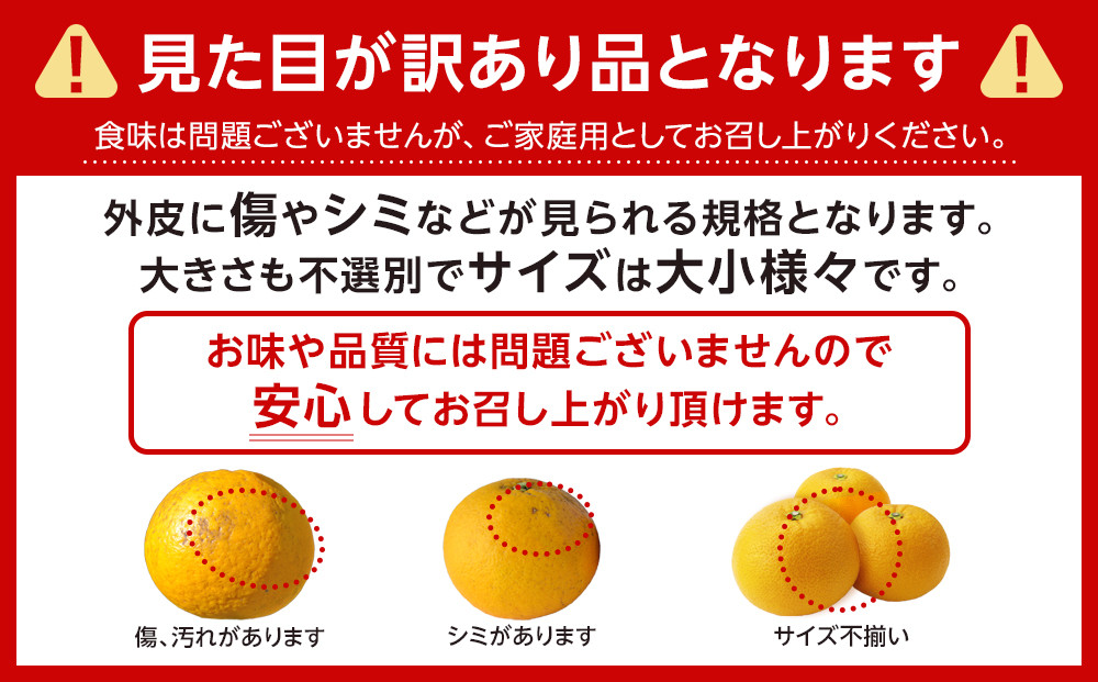 ［先行予約］ご家庭用 はっさく約3kg 大小サイズ 混合