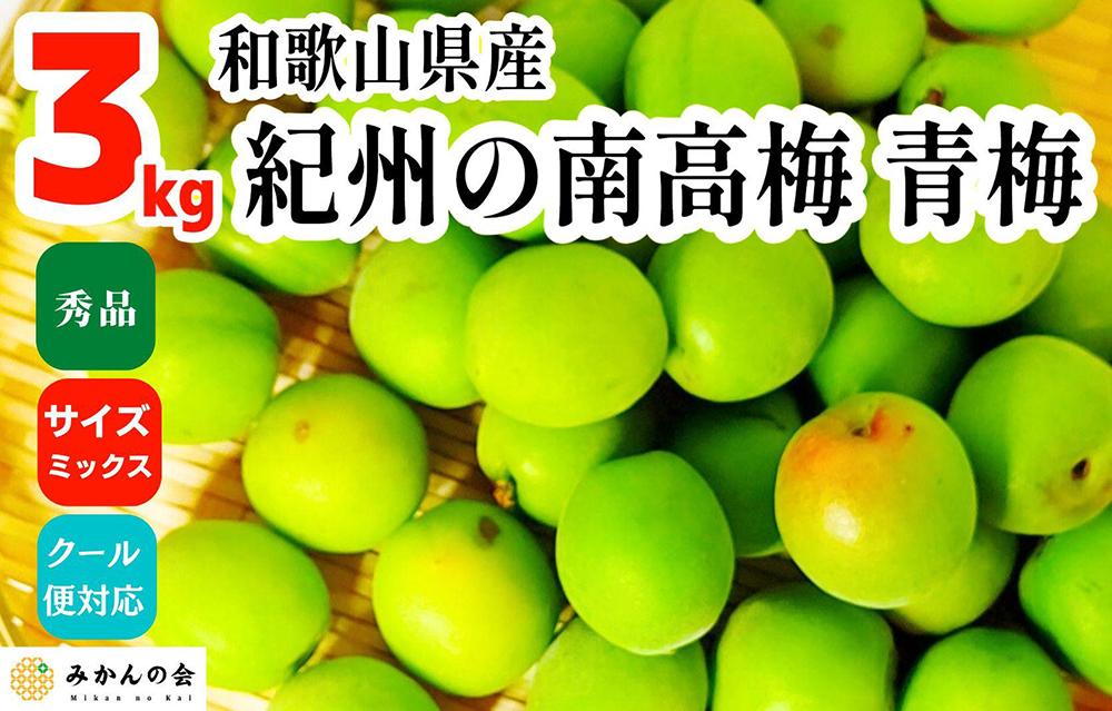 ［2026年6月上旬出荷］青梅 南高梅 3kg 秀品 サイズミックス  和歌山県産 A品 梅酒作り用 梅ジュース作り用
