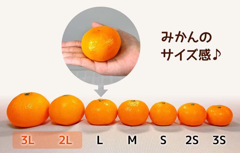 みかん 大玉 どっこいしょ 箱込 10kg ( 内容量約 9.2kg ) 2Lサイズ以上 秀品 優品 混合 有田みかん 和歌山県産 産地直送 家庭用［2026年11月中旬より順次出荷予定］［みかんの会］