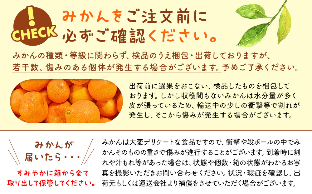 縺ソ縺九s 縺縺セ謗。繧 邂ア霎シ邏 7.5kgシ亥螳ケ驥6.8kgシ 蜈峨そ繝ウ繧オ繝シ驕ク蛻・ 縺ソ縺九s縺ョ莨壼宍驕ク 繧オ繧、繧コ繝溘ャ繧ッ繧ケ 蜥梧ュ悟アア逵檎肇 逕」蝨ー逶エ騾 縲舌∩縺九s縺ョ莨壹托シサ2026蟷エ11譛井クュ譌ャ繧医j鬆谺。蜃コ闕キ莠亥ョ夲シス