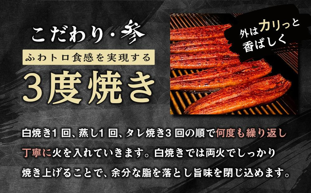 辷カ縺ョ譌・縺セ縺ァ縺ォ縺雁ア翫¢ 縲先怏逕ー蟾晉伴テ玲ケッ豬逕コ縲代≧縺ェ縺手調辟シ2譛ャシ隗帝聞迚ケ陬ス闥イ辟シ繧ソ繝ャ1譛ャ繧サ繝繝