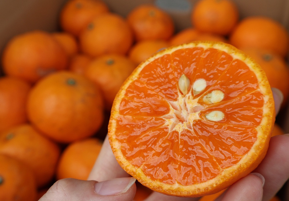 農家直送！なつみオレンジ 小玉10kg【平武農園】～蛍飛ぶ町から旬の便り～