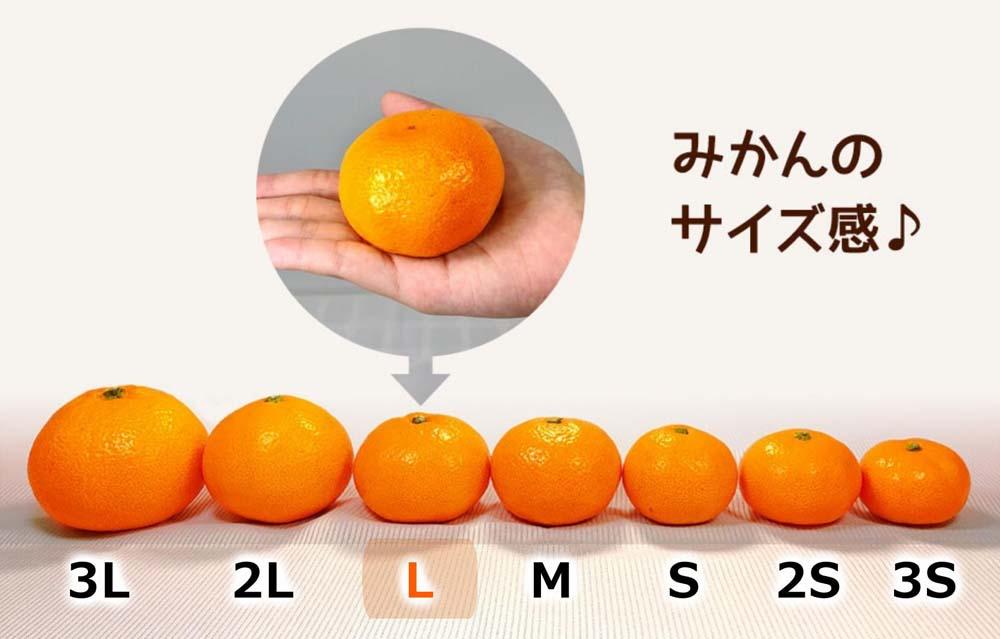 ã¿ãã Lãµã€ãº ç§å 箱蟌 7.5kg (å
容éçŽ 6.8kg) æç°ã¿ãã åæå±±çç£ ç£å°çŽé èŽççš ïŒ»2026幎11æäžæ¬ããé æ¬¡åºè·äºå®ïŒœïŒ»ã¿ããã®äŒïŒœ