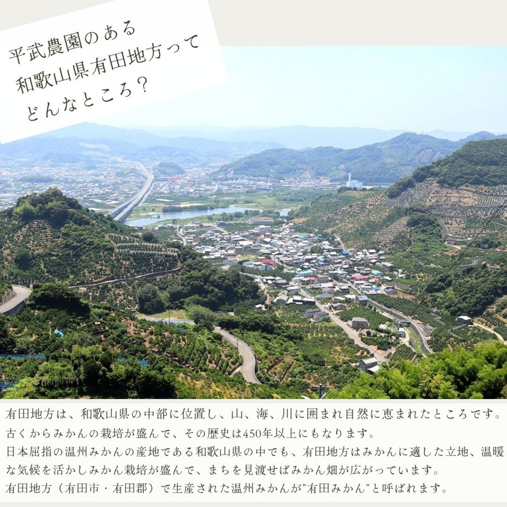 農家直送！なつみオレンジ 小玉5kg【平武農園】～蛍飛ぶ町から旬の便り～