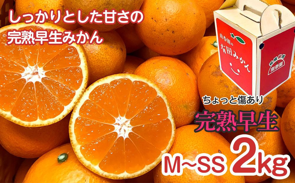 【 5年間 有田みかん 3種 食べくらべ ／ 全15回 】 ちょっと 傷あり 2kg × 3回 × 5年 コース 南泰園 みかん