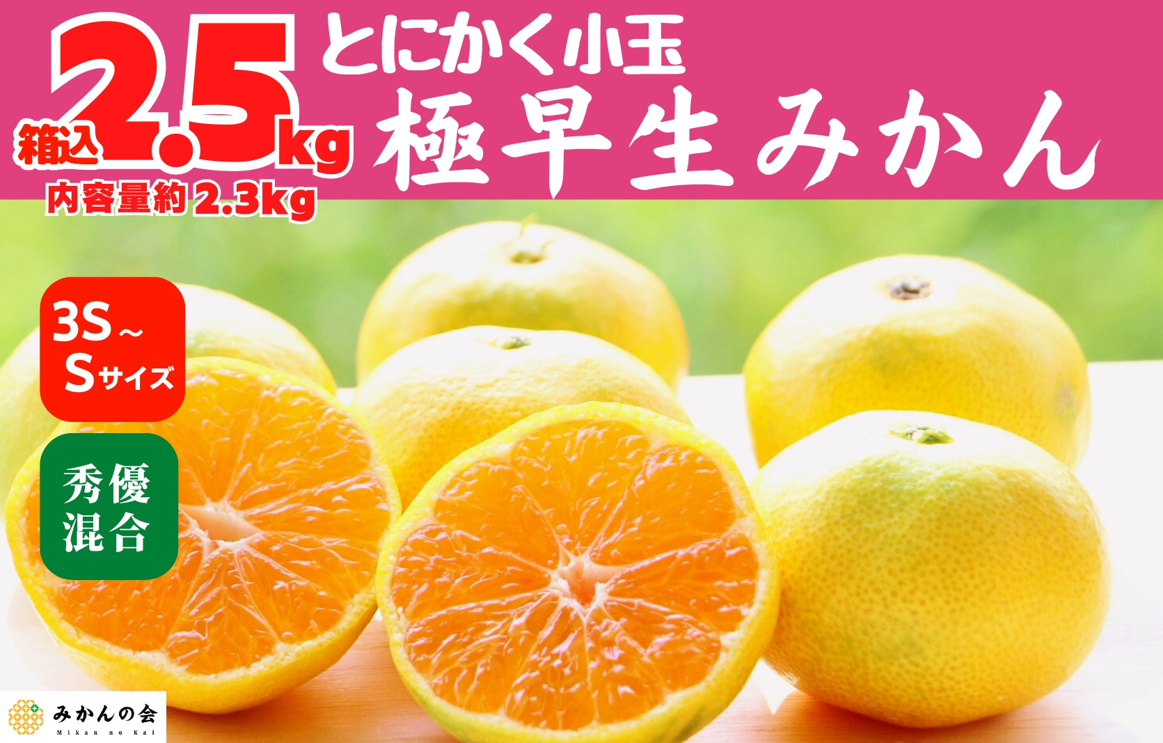 小玉みかん 極早生 箱込 2.5kg (内容量約 2.3kg) 3S～Sサイズ混合 秀品 優品 混合 有田みかん 和歌山県産 【みかんの会】［2026年10月上旬頃より順次発送予定］