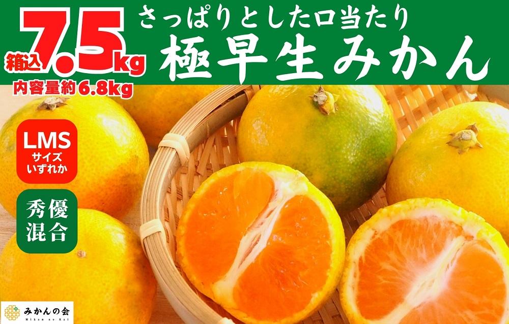みかん 極早生 箱込 7.5kg (内容量約 6.8kg)  S/M/Lサイズのいずれか 秀品 優品 混合 有田みかん 和歌山県産 【みかんの会】［2026年10月上旬頃より順次発送予定］