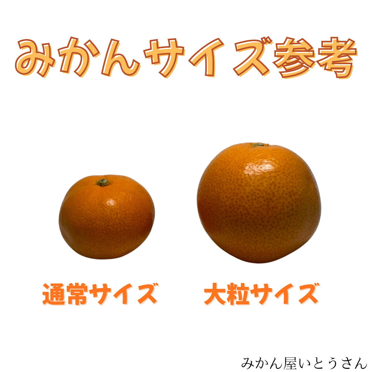 家庭用 大粒有田みかん 3kg (約21個～24個)