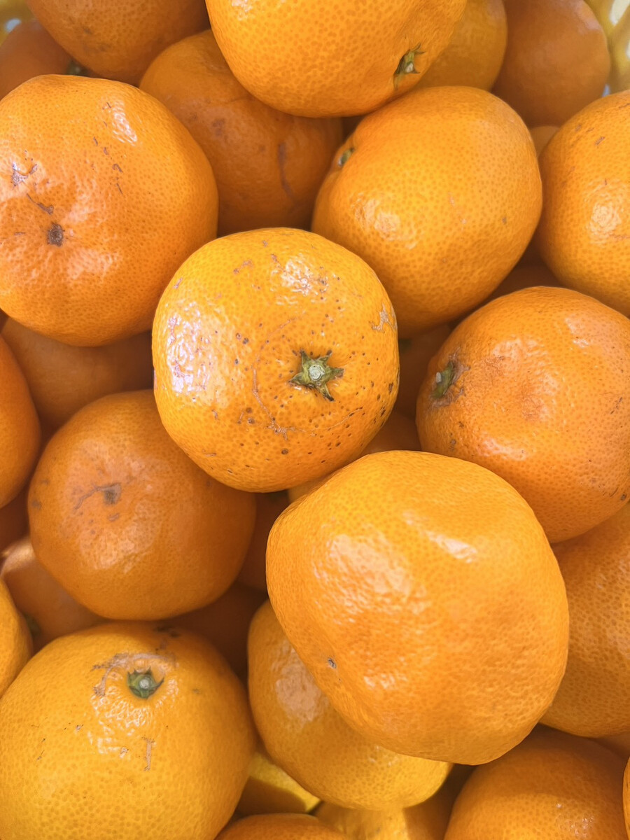 家庭用 大粒有田みかん 1kg (約7個～8個)