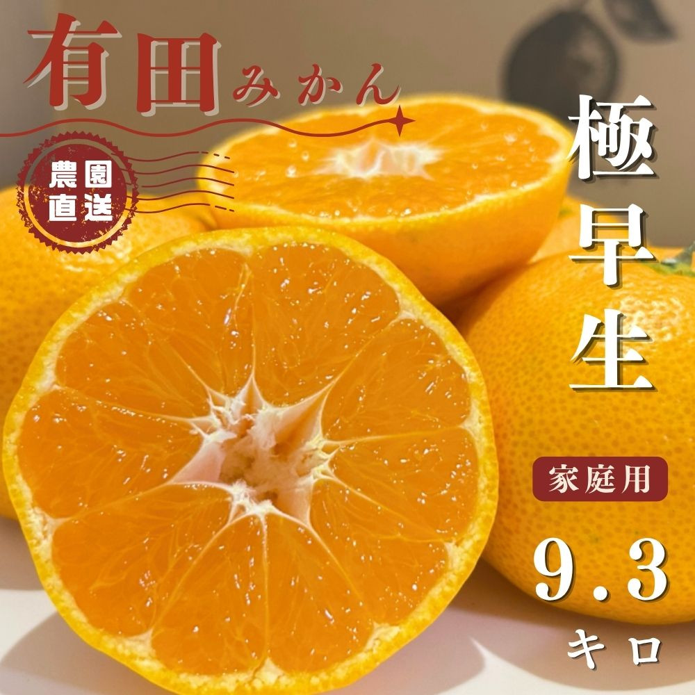 【ふるさと納税】有田みかん 極早生 9.3kg（箱込み10kg）家庭用 S～Lサイズ おまかせ【2026年11月発送】柑橘 フルーツ みかん 産地直送 お取り寄せ 送料無料