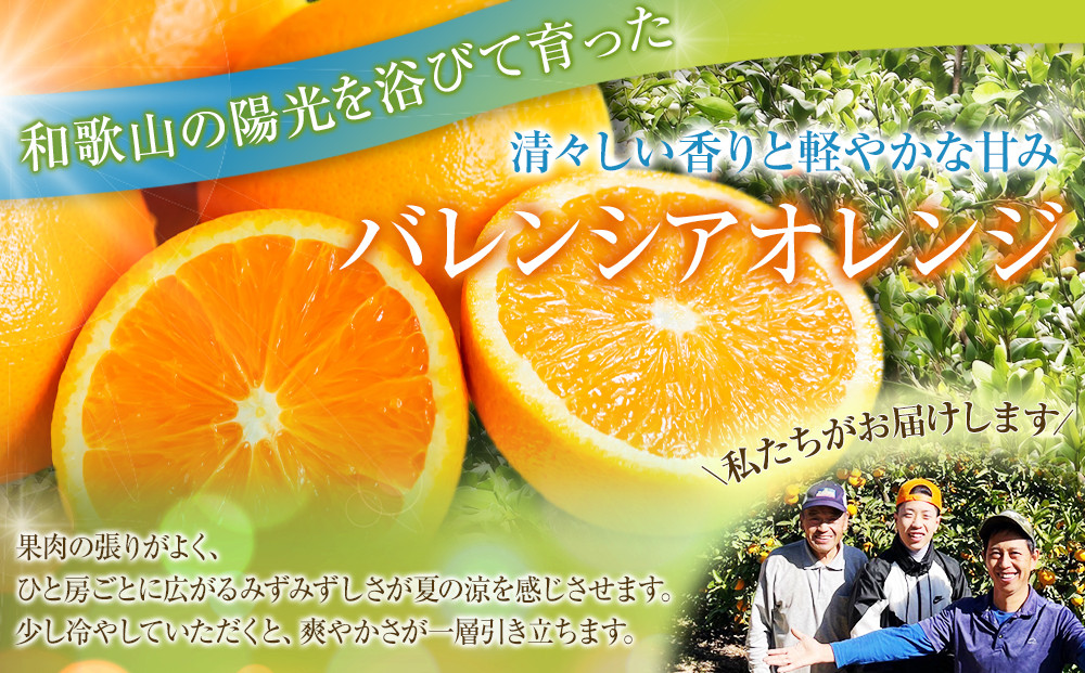 バレンシアオレンジ 家庭用 訳あり 5kg S～3Lサイズいずれか