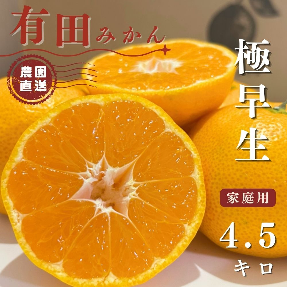 【ふるさと納税】有田みかん 極早生 4.5kg（箱込み5kg）家庭用 S～Lサイズ おまかせ【2026年11月発送】柑橘 フルーツ みかん 産地直送 お取り寄せ 送料無料