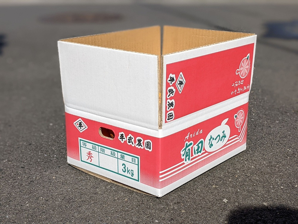 農家直送！なつみオレンジ 小玉3kg【平武農園】～蛍飛ぶ町から旬の便り～