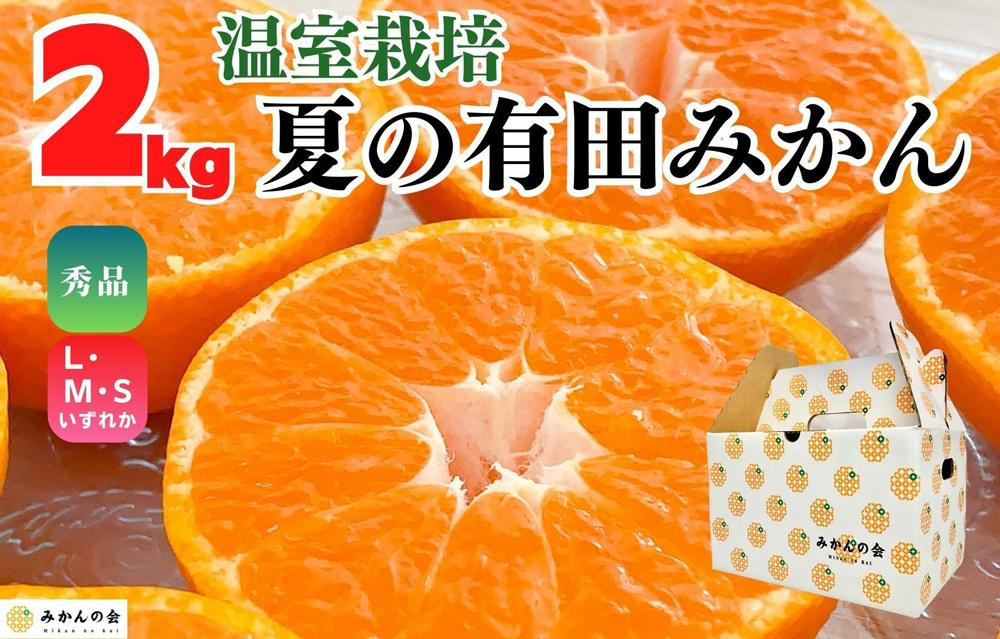 【5月出荷予定】ハウスみかん 温室栽培 夏の有田みかん 2kg 秀品 S・M・Lサイズのいずれか  和歌山県 産地直送 みかんの会