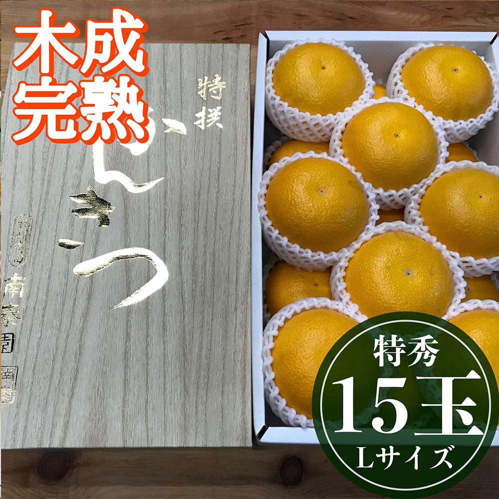 4月 まで 木成 完熟 させた 有田 はっさく 特秀 L × 15玉 2段詰 化粧箱 南泰園 みかん
