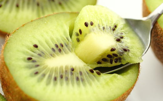 ［人気］有田産キウイフルーツ約3.6kg（サイズおまかせ）★2027年1月下旬頃より順次発送