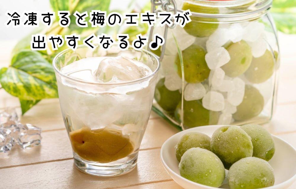 【2026年7月上旬～出荷予定】梅 冷凍 青梅 南高梅 3kg ( 1kg × 3袋 ) 秀品 2L or Lサイズ 和歌山県産 紀州有田  【みかんの会】